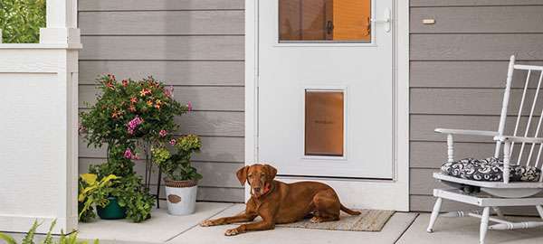 Larson Door Style Pet Storm Doors
